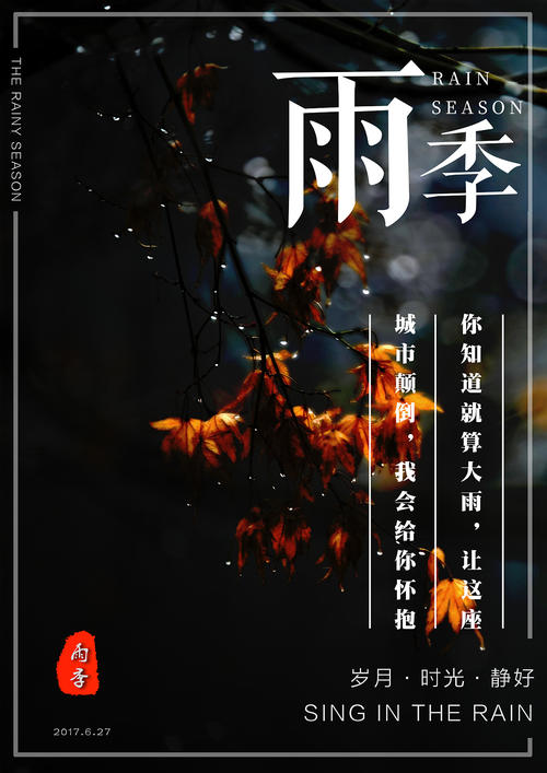 布里斯托大学student card